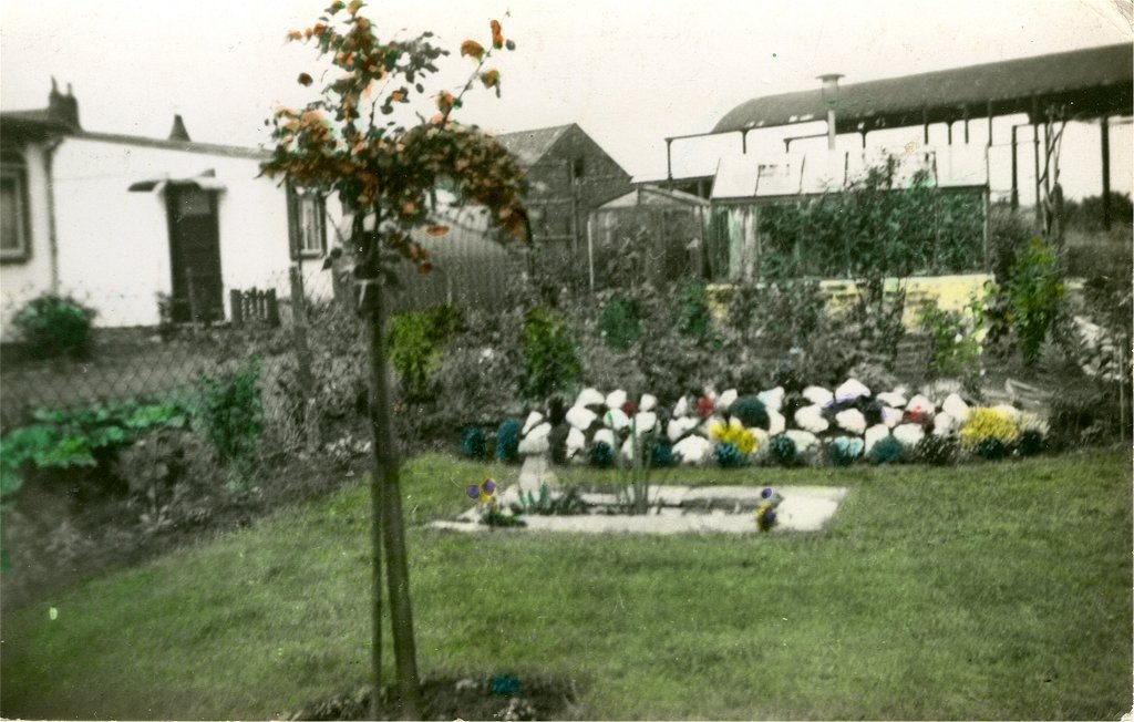 109BesfordRdGarden_WamboLaneBarnInBgd_r