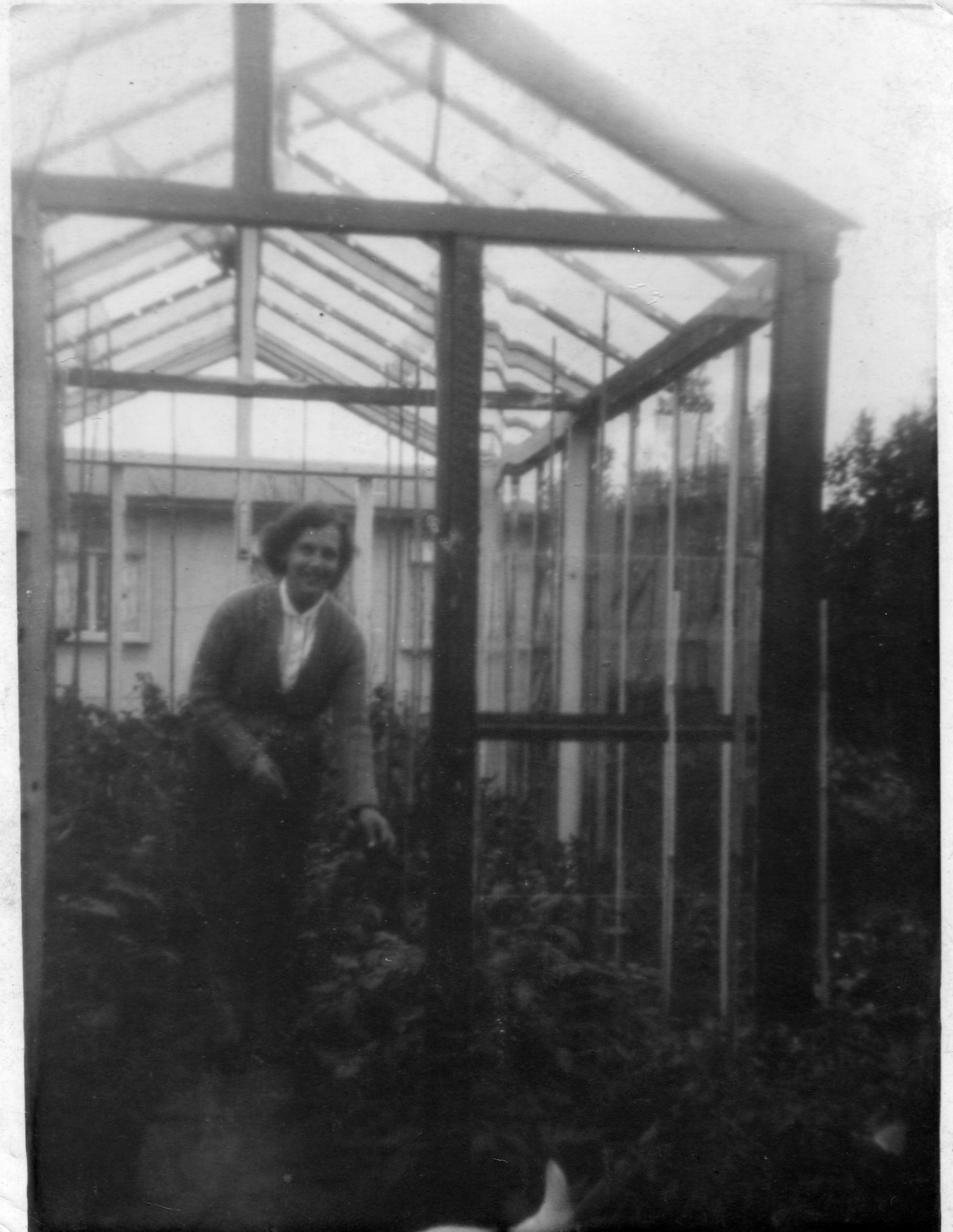 EPSON scanner image