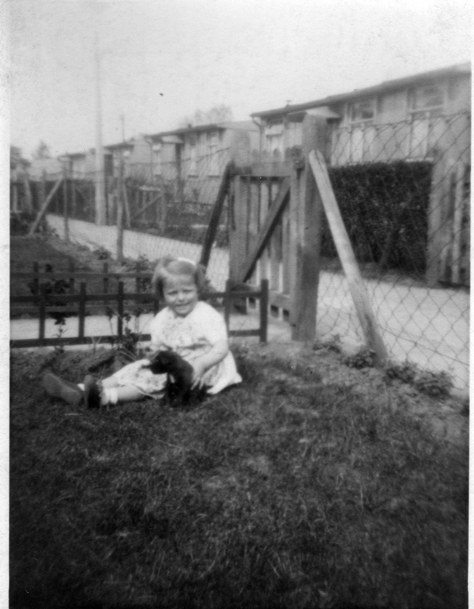 EPSON scanner image