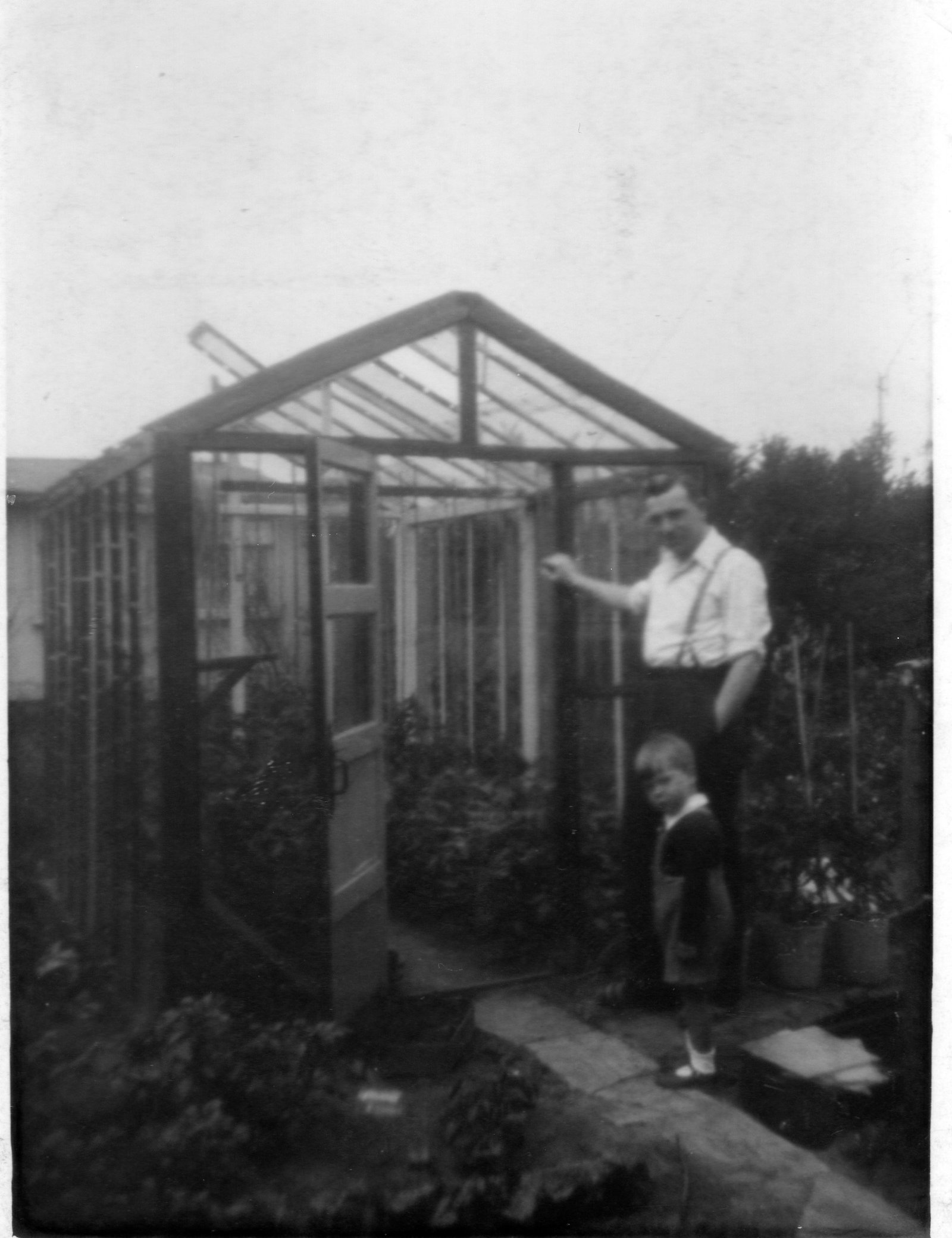 EPSON scanner image