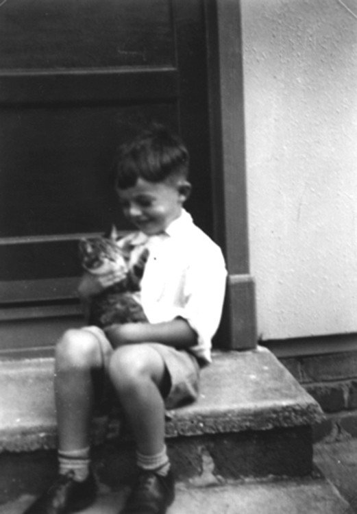 Kitten