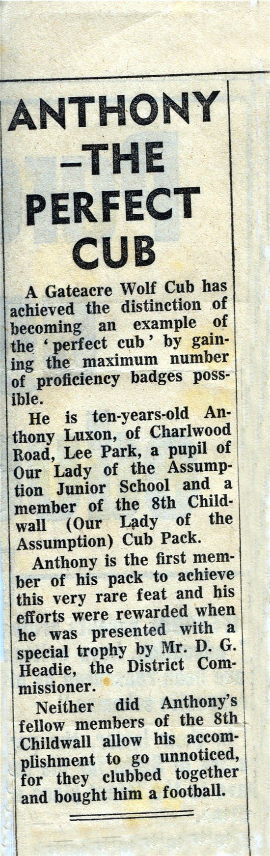 Perfect-Cub