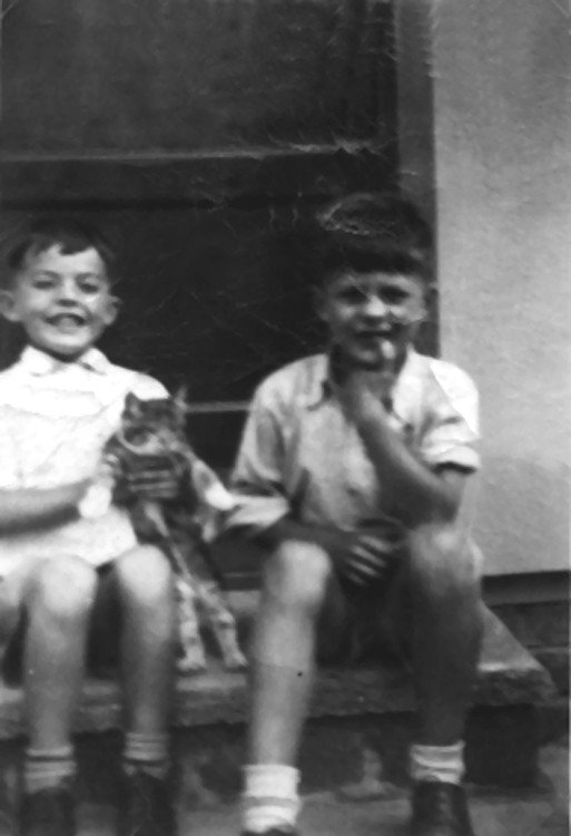 kitten-john