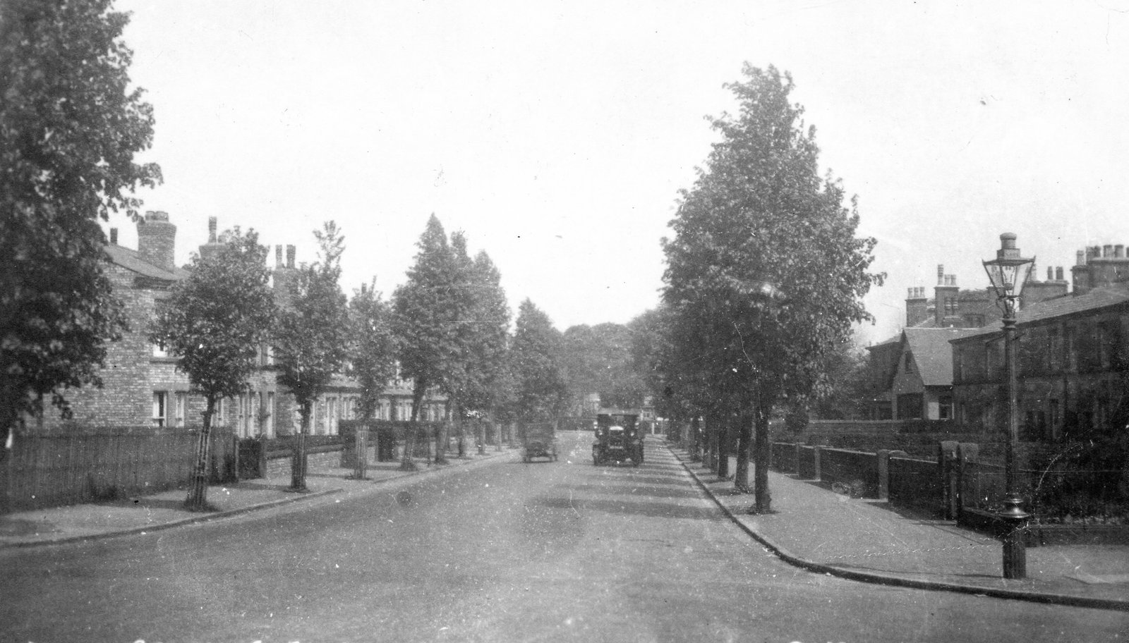BV-road-trees1