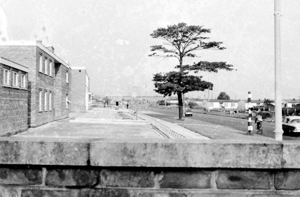 1960s