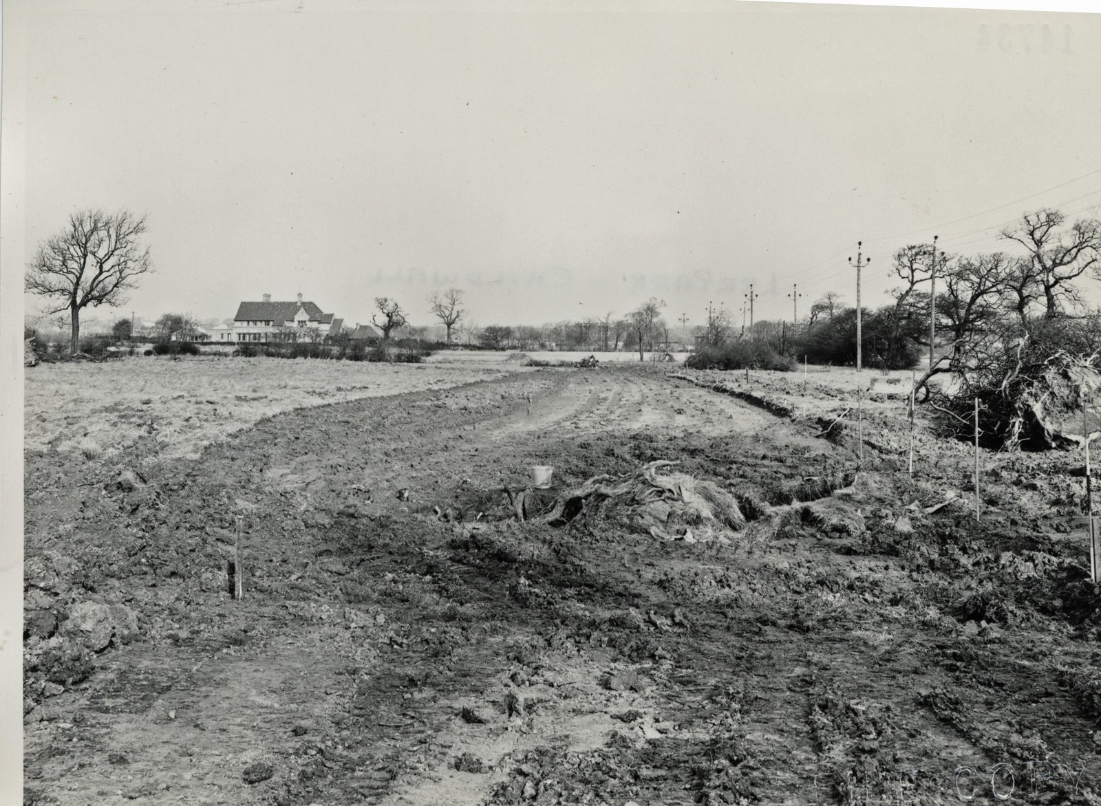 LEE-PARK-10-2-1955-CE-14734