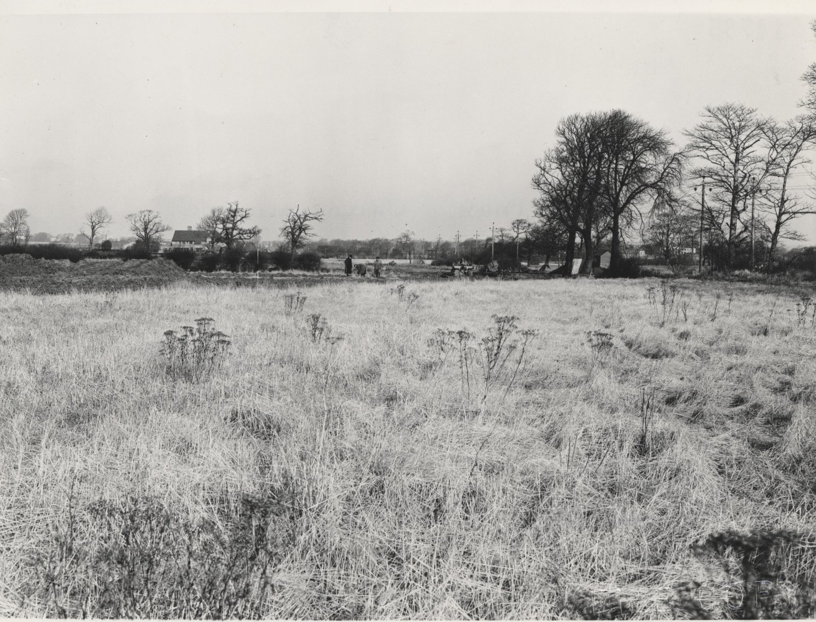 LEE-PARK-10-2-1955-CE-14735