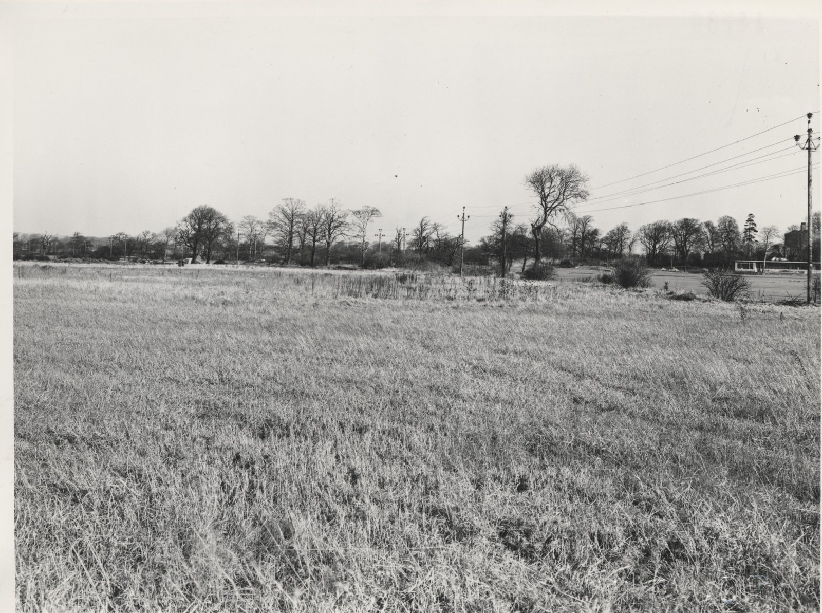 LEE-PARK-10-2-1955-CE-14736