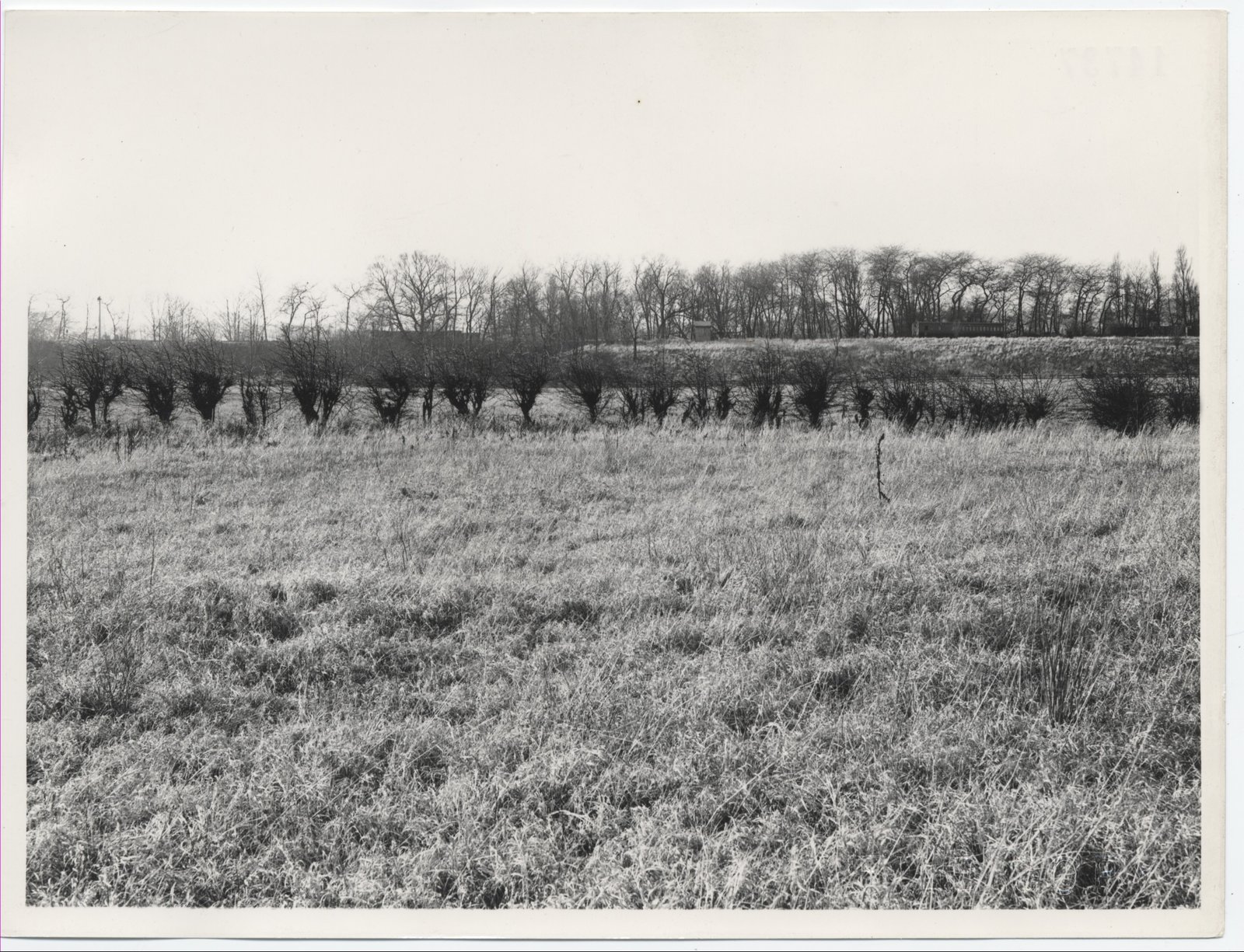LEE-PARK-10-2-1955-CE-14737