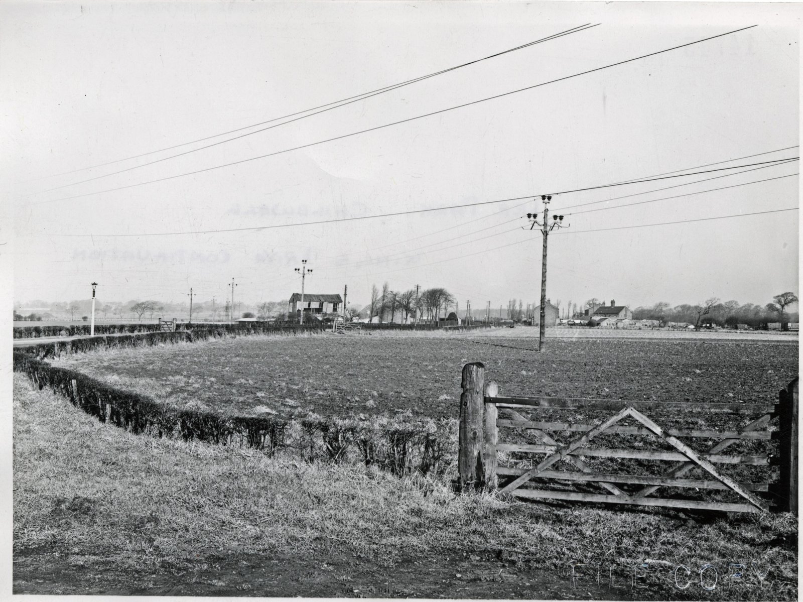 LEE-PARK-10-2-1955-CE-14745