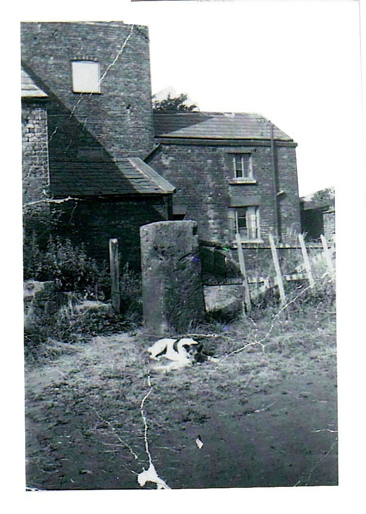 coxhead1950-now-the-site-of-Cats-Whiskers-Pub-L25