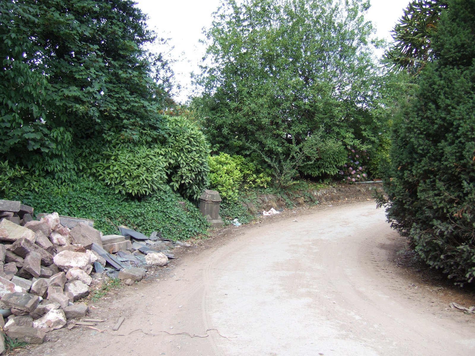 DSCF3213