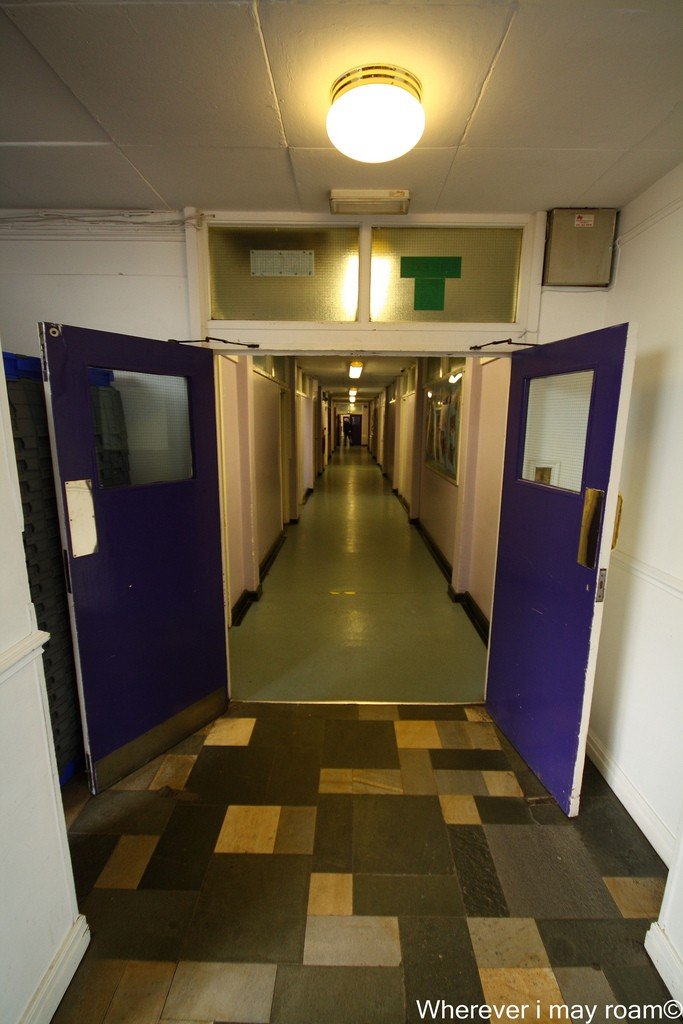 6002598817_e6c96bd721_b