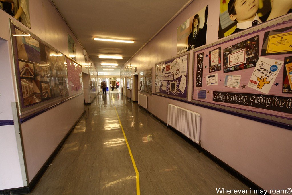 6002606497_e7c4391e54_b