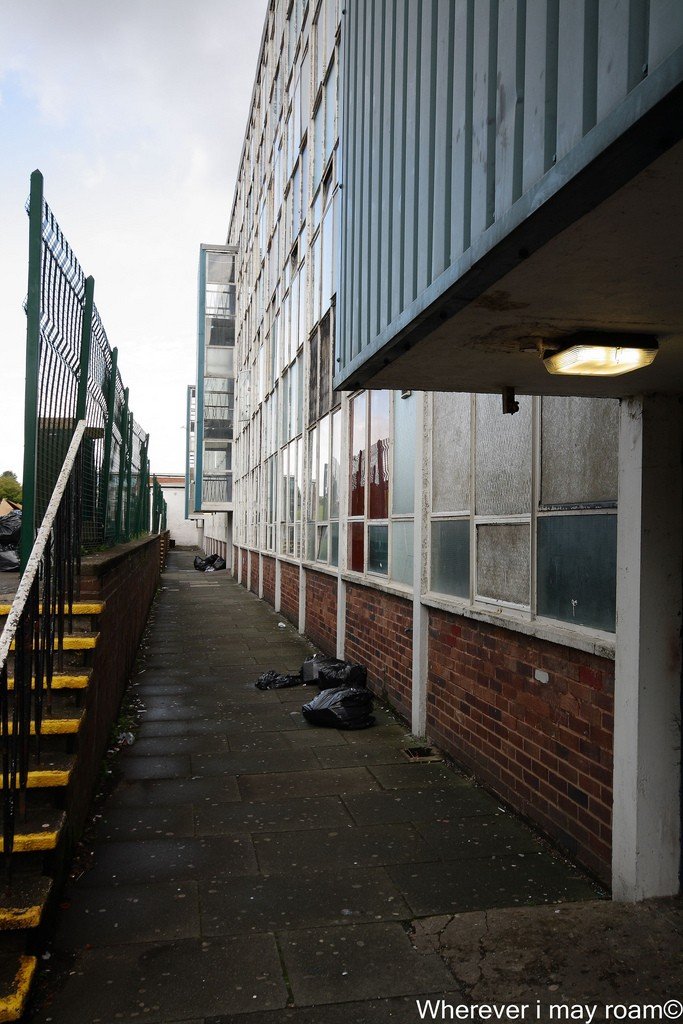 6002631123_7493526860_b