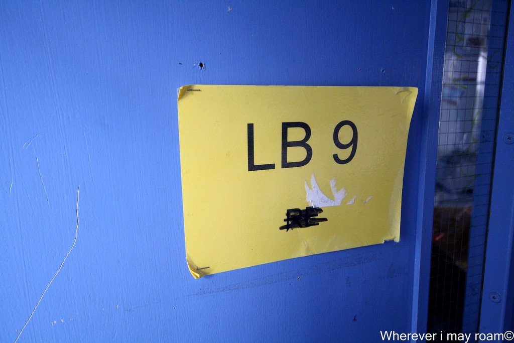 6002664323_2464c3b495_b