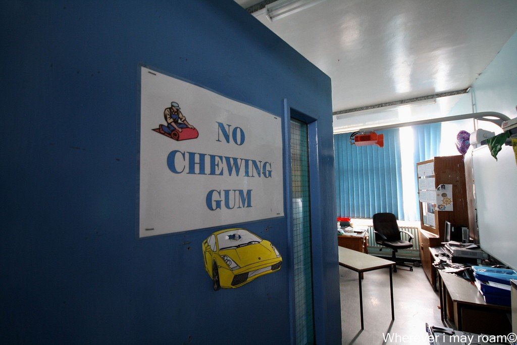 6002667035_34285841d9_b