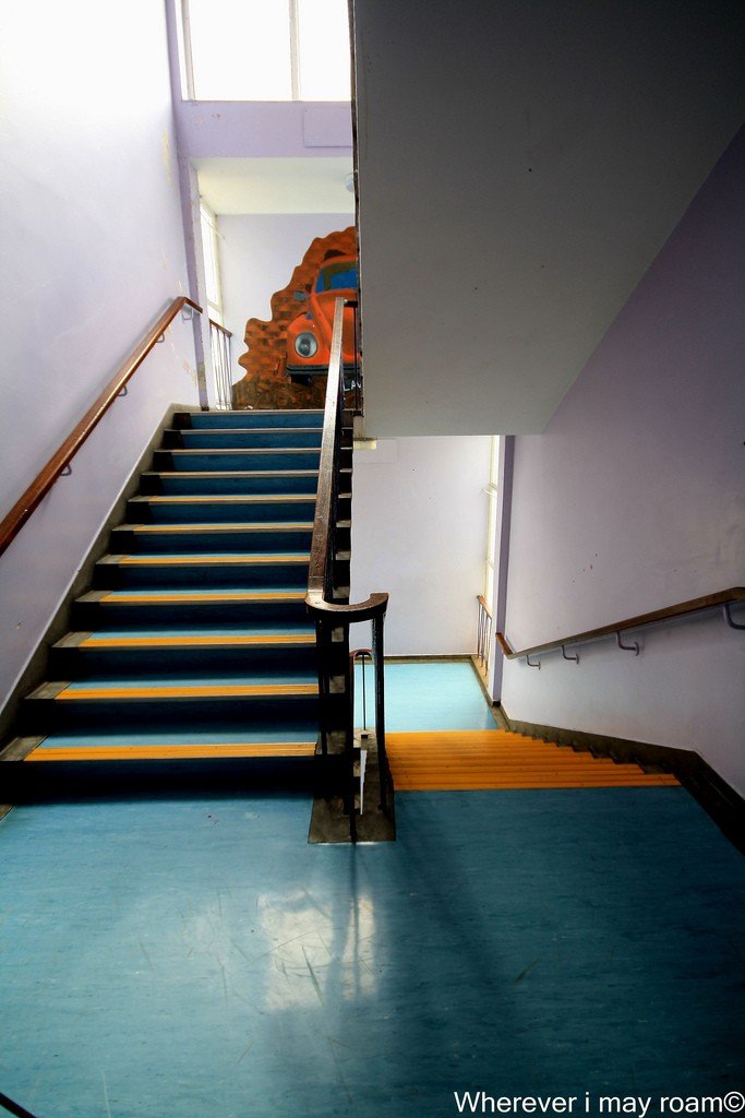 6002700991_f8b5556e28_b