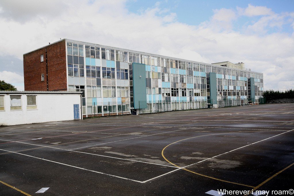 6002783381_644221c8e4_b