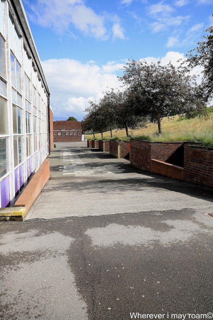 6002827049_116db7ccb0_b