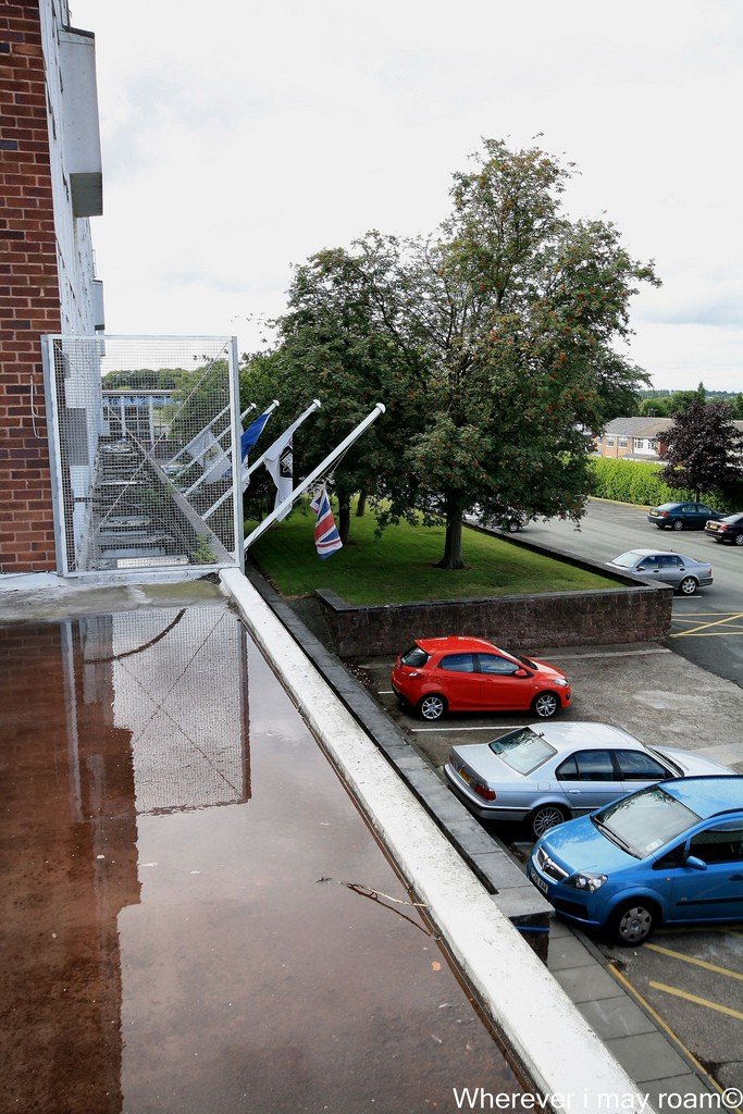 6002885187_f1c399dc6a_b