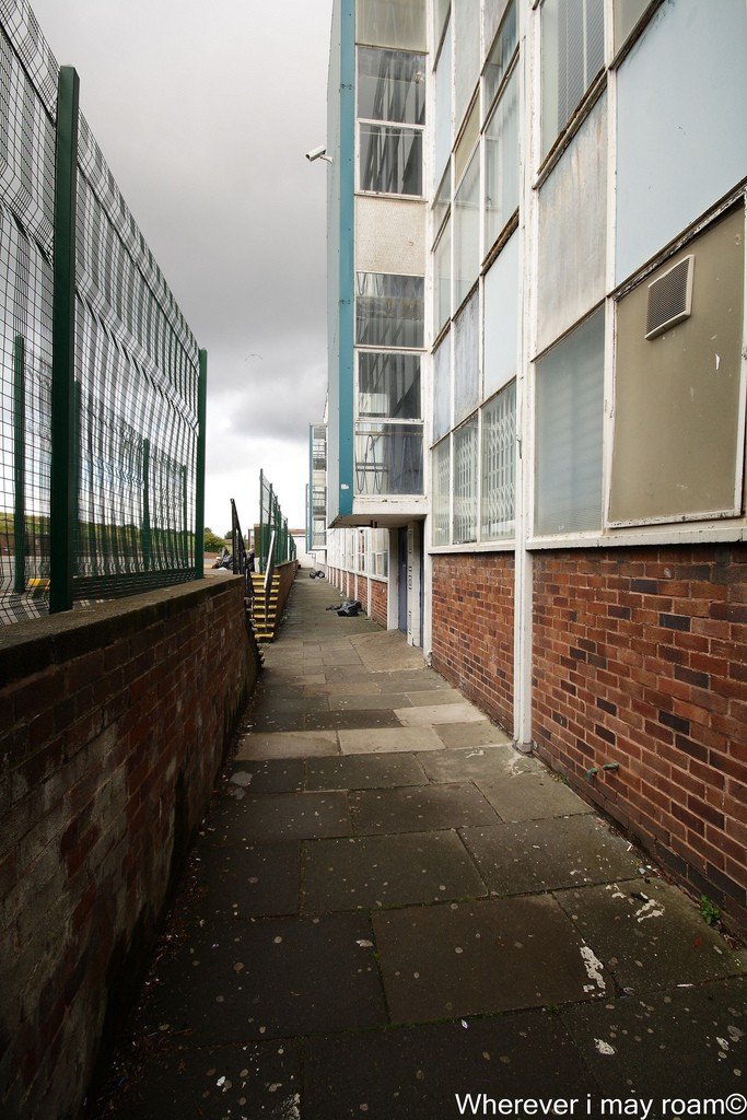 6003164162_35fbf6fc3b_b