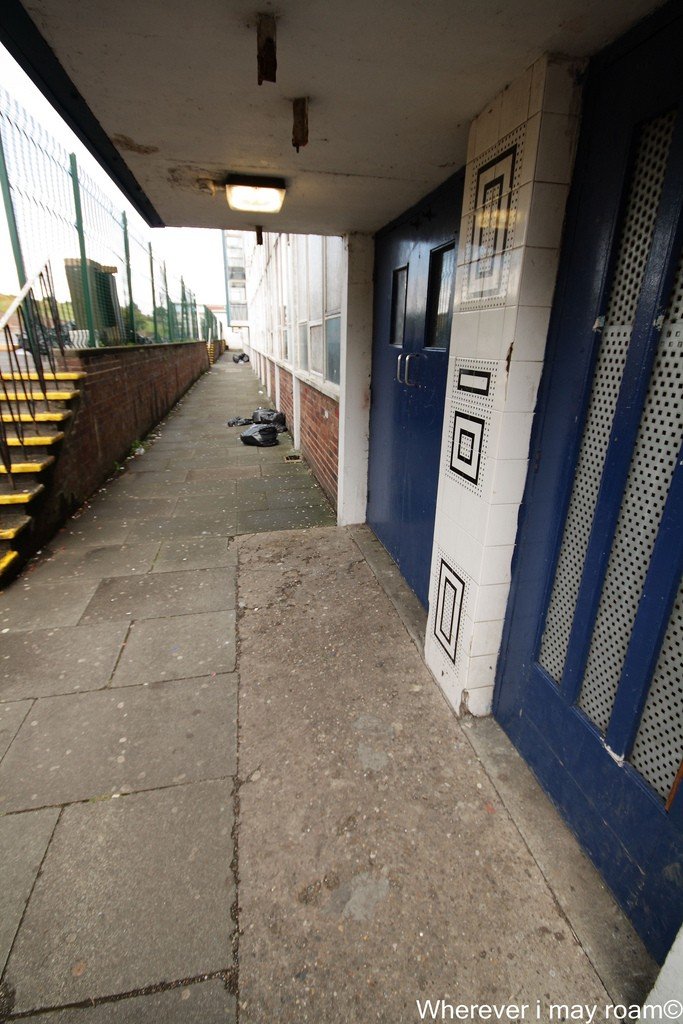 6003175556_5945856ebb_b