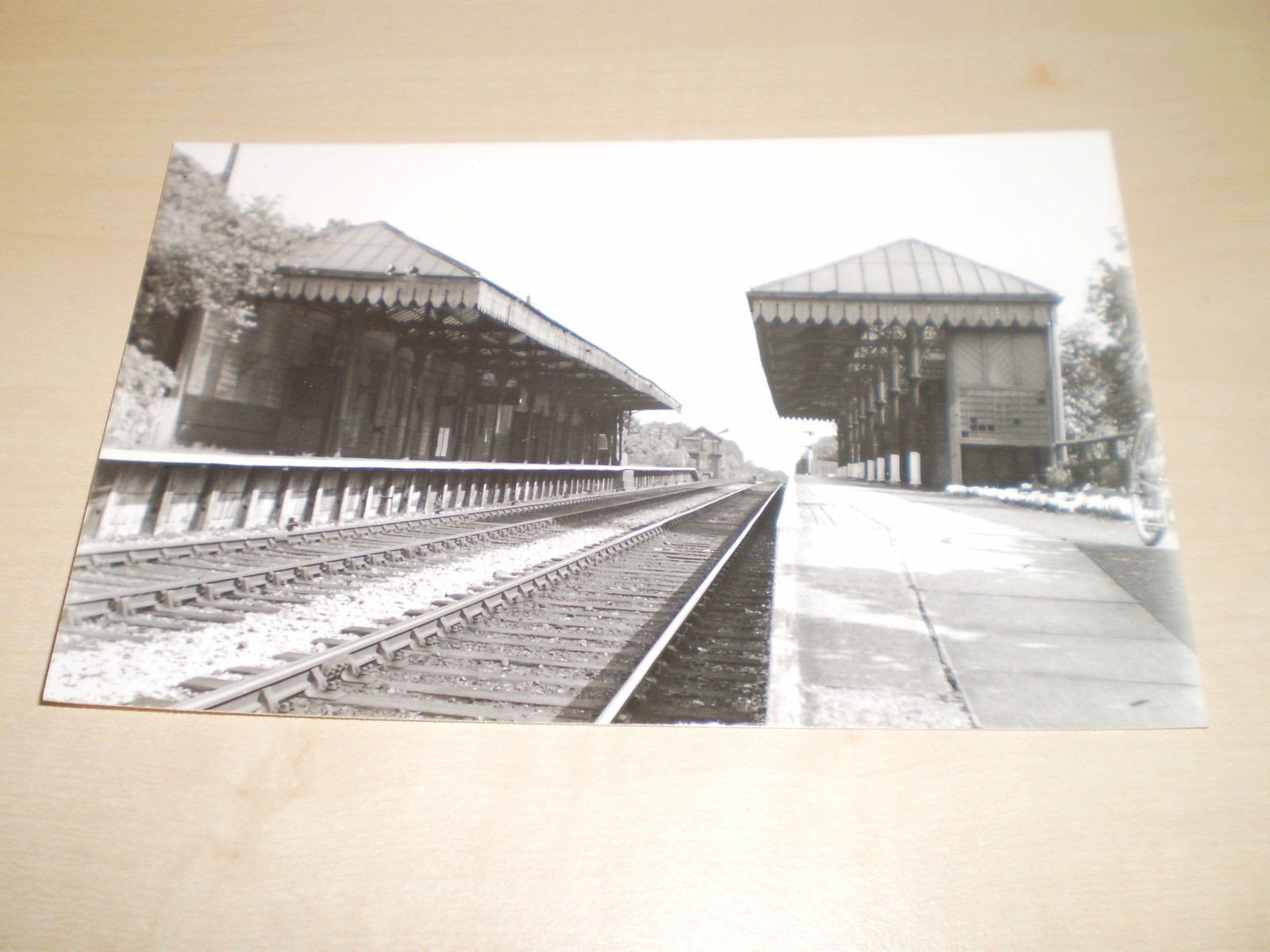 1955