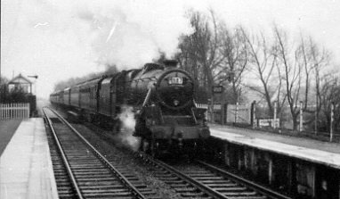L-steam-train-Gat-station