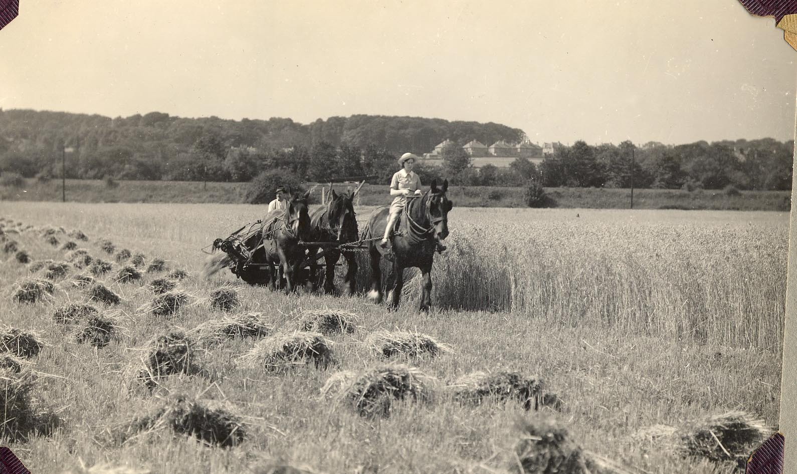 1_Horace-Jones-daughter-Dorothy-Jones-c1930