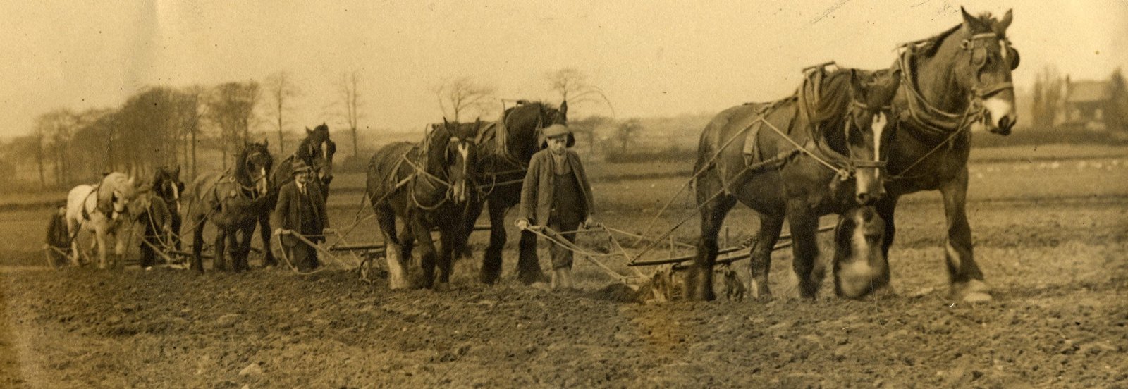 Horace-Jones-ploughing-1