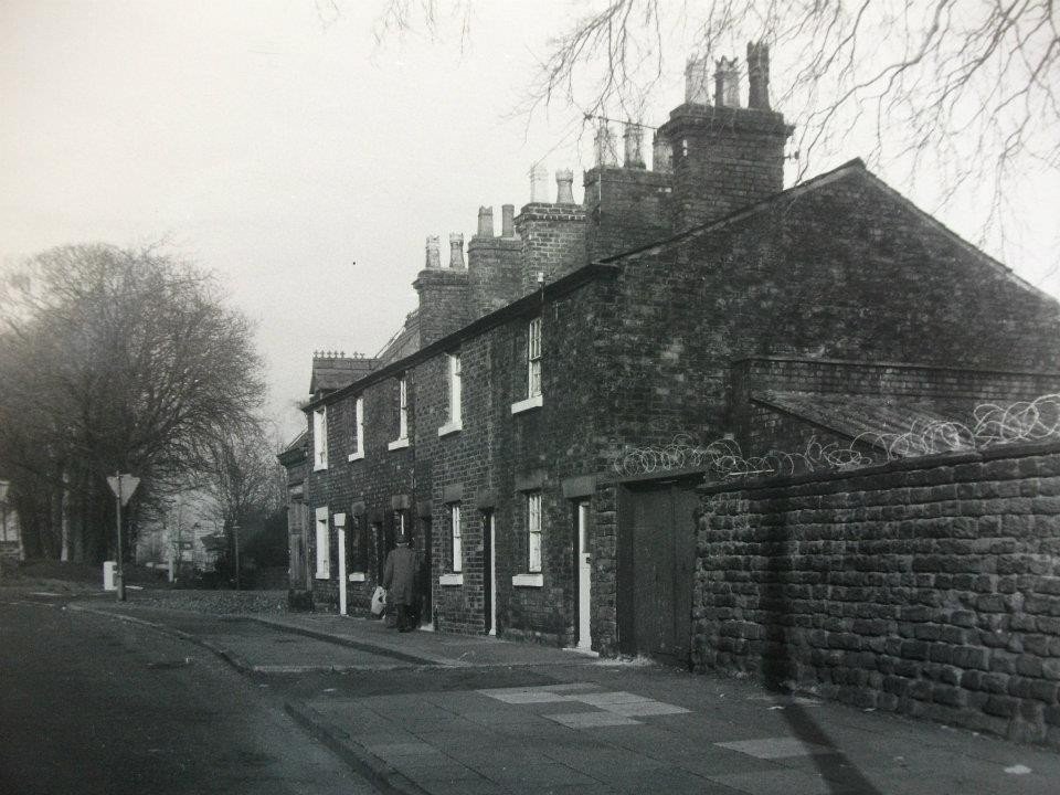 RoseBrow1971-11.01-1