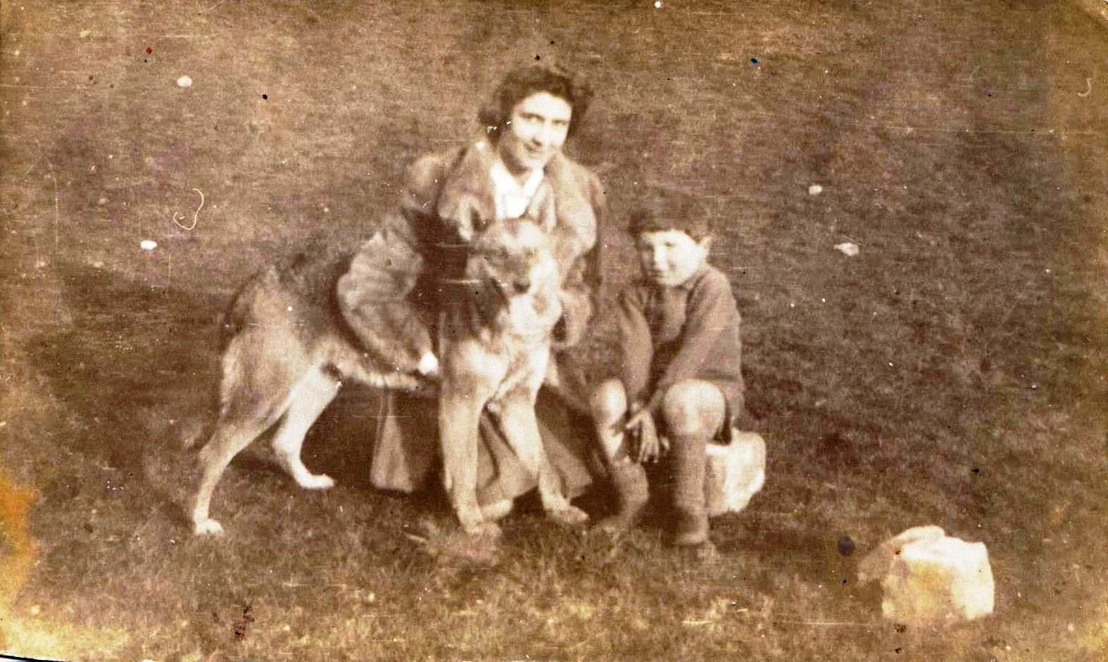 Dog
