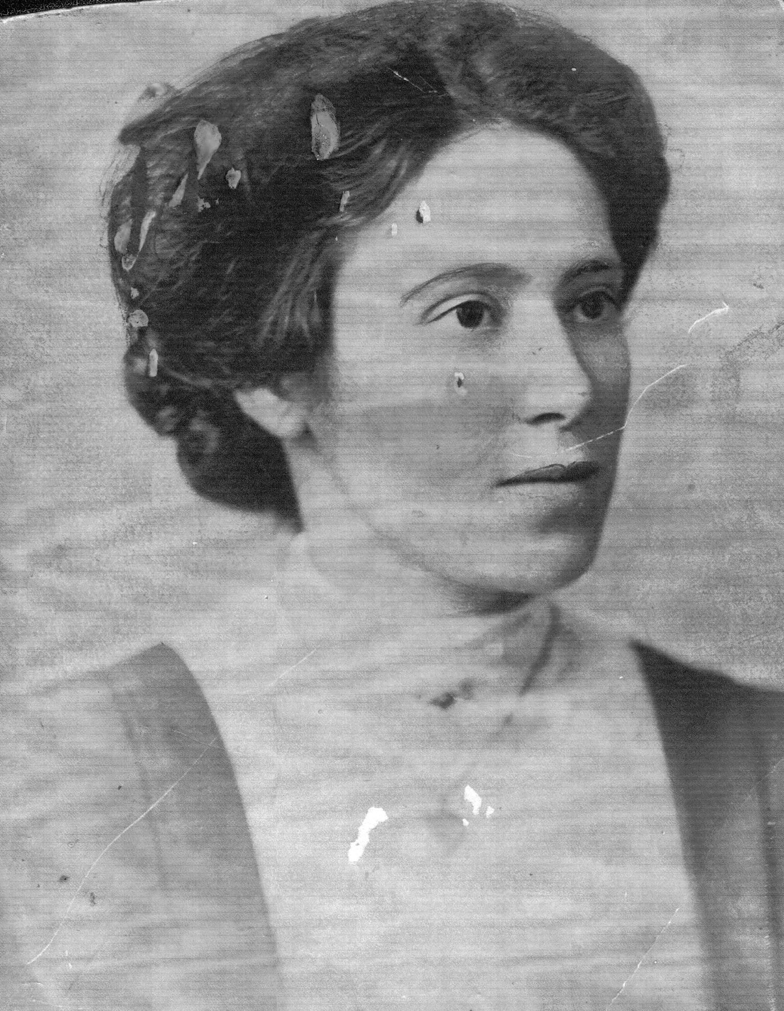 Jeanettes-grandmother-lived-there-alice-hamilton