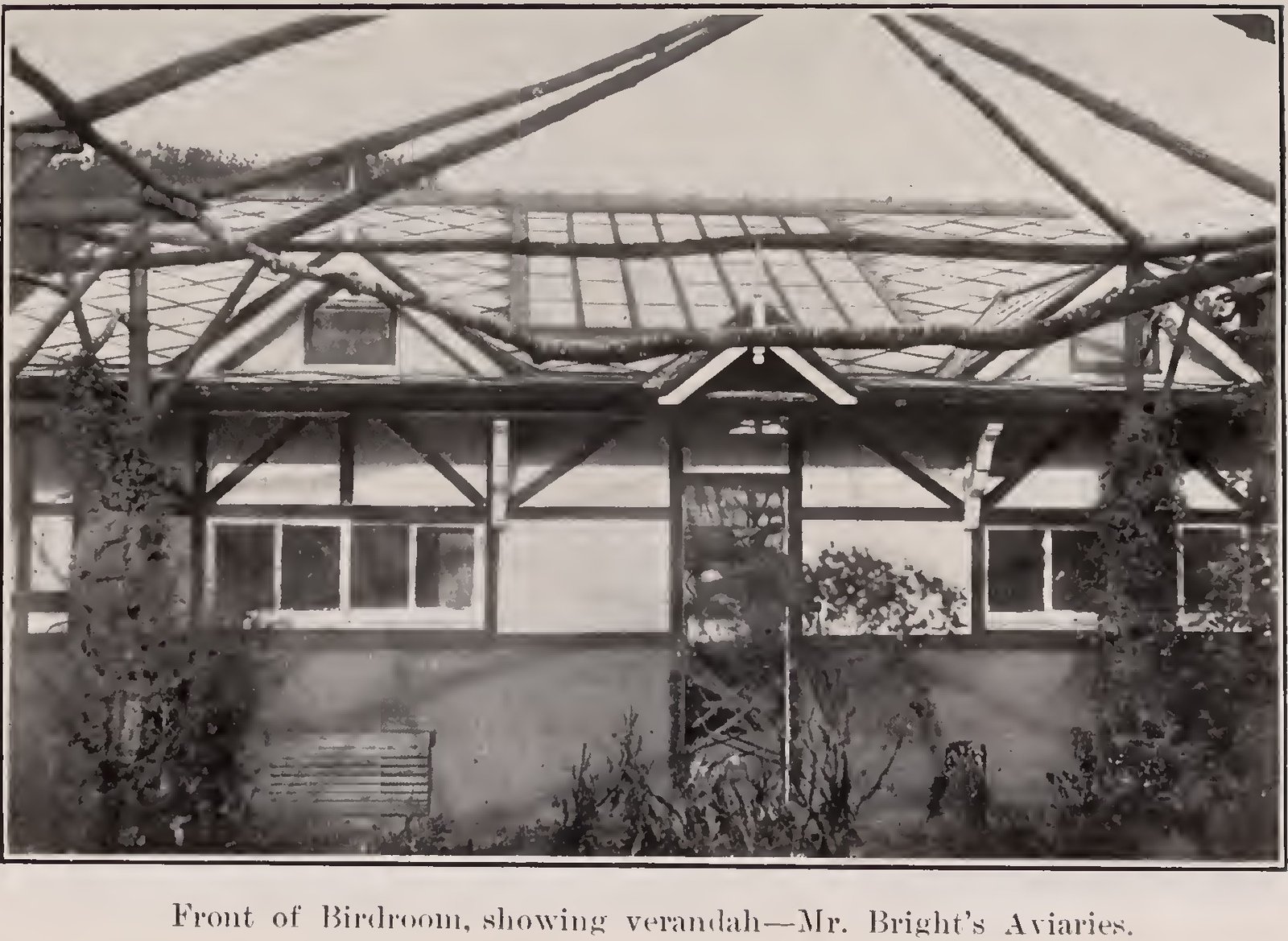 Woolton-Tower-Aviaries-1