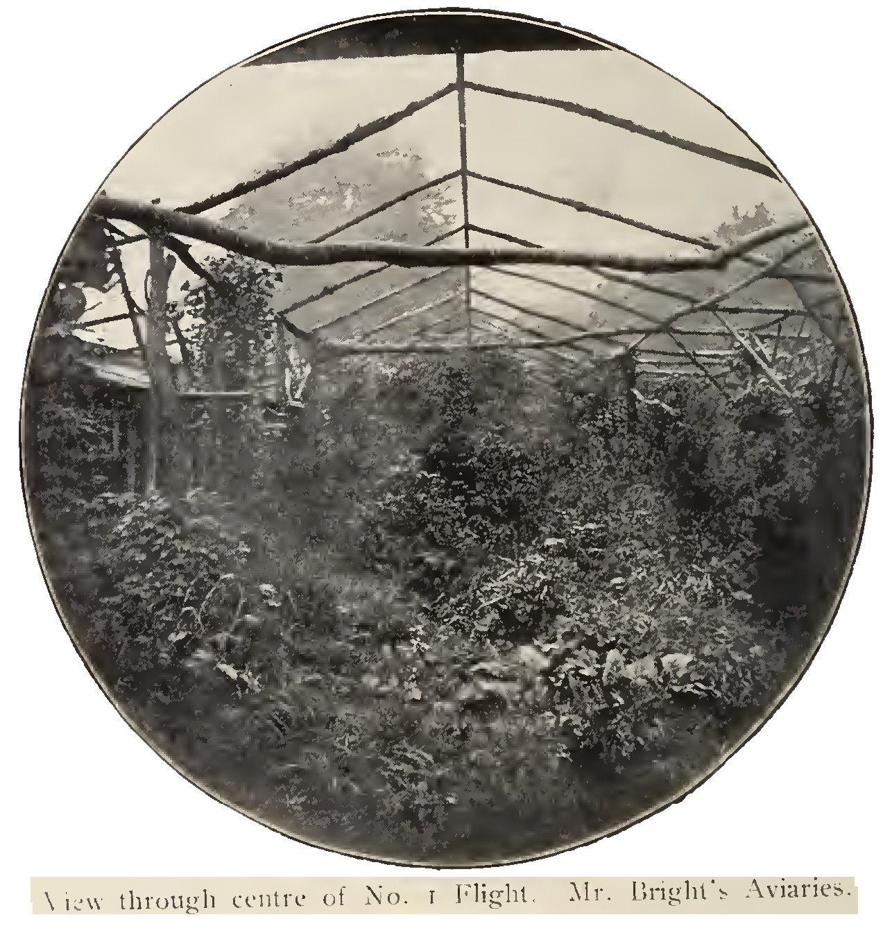 Woolton-Tower-Aviaries-5